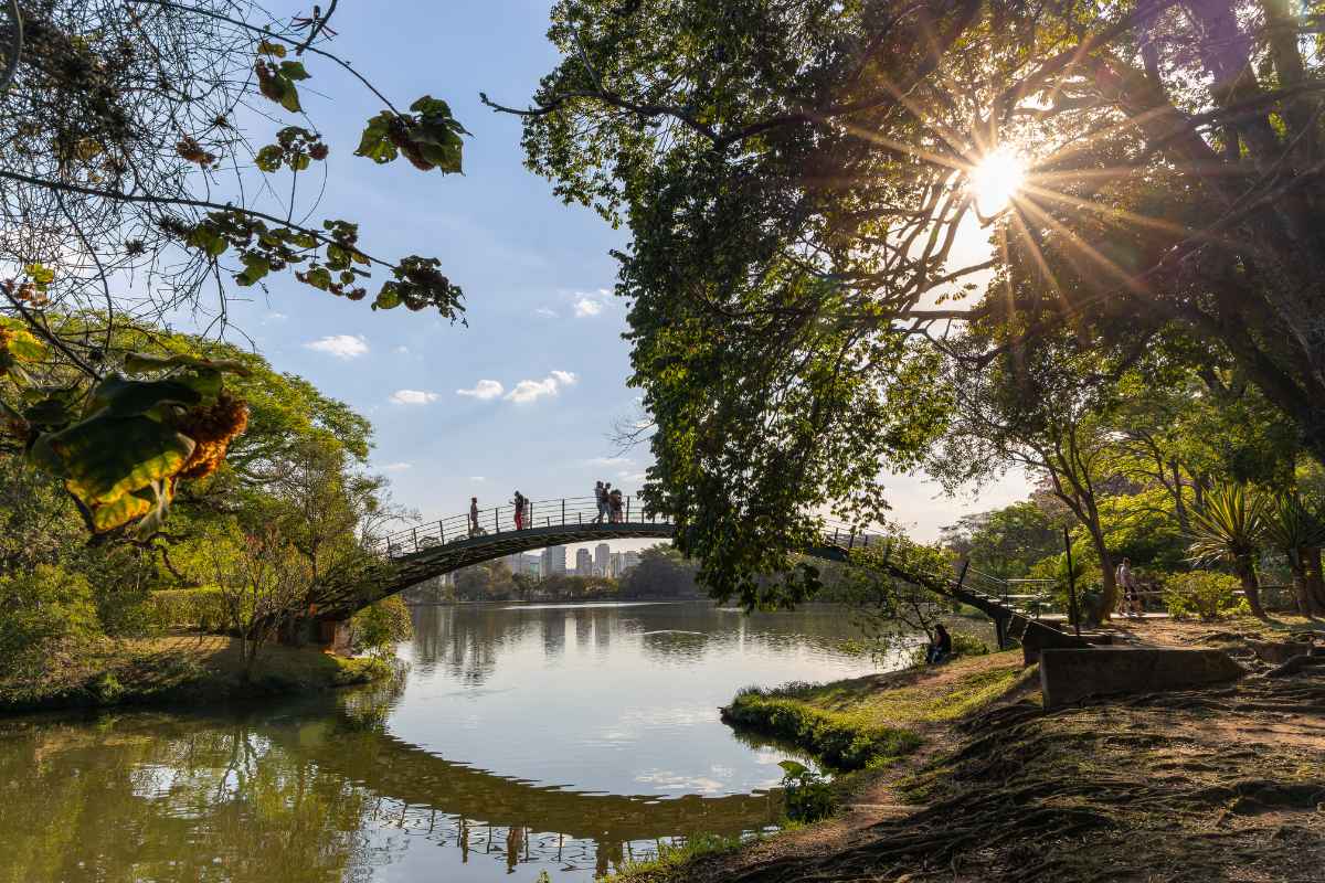 O Que São Problemas Urbanos